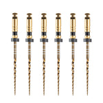Dental Heat‑Activated Large Taper NiTi Rotary Endodontic Files 25mm F3/F4/F5 6pcs/Pack - pairaydental.com