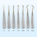 Dental Root Elevators Stainless Steel Extraction Tools Straight/Cryer/Apical - pairaydental.com