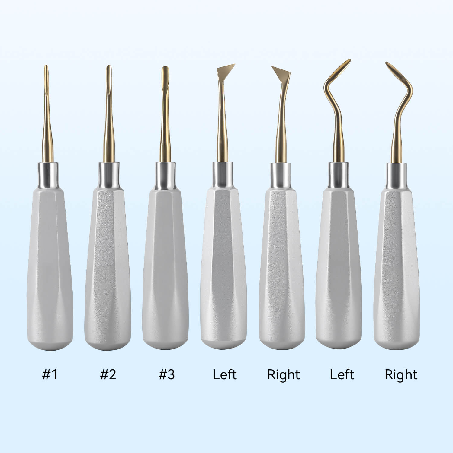 Dental Root Elevators Stainless Steel Extraction Tools Straight/Cryer/Apical - pairaydental.com