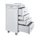 Dental Mobile Cabinet Cart with Hidden Side Auxiliary Drawer Power Socket 4 Drawers - pairaydental.com