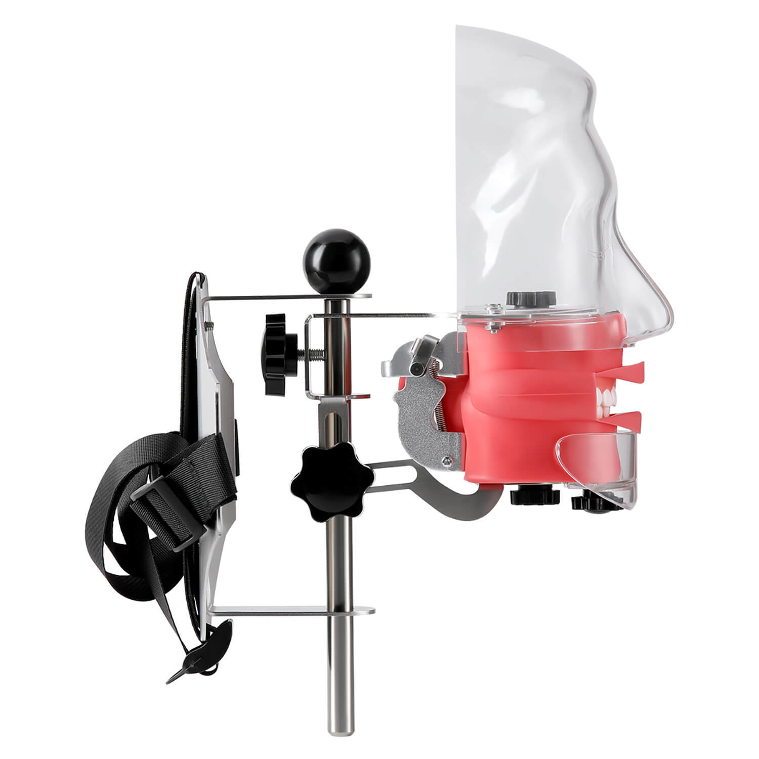 Dental Simulator Manikin Phantom Head with 28 Removable Teeth Fix on Dental Chair - pairaydental.com