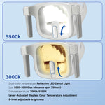 Dental Reflective LED Oral Light 12W - pairaydental.com