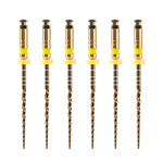 Dental Heat‑Activated Large Taper NiTi Rotary Endodontic Files 25mm F3/F4/F5 6pcs/Pack - pairaydental.com