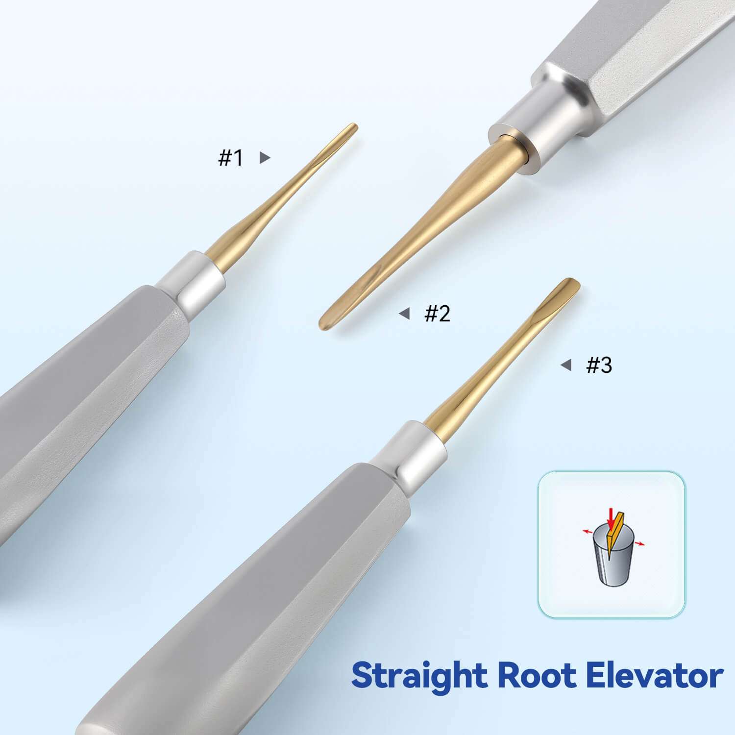 Dental Root Elevators Stainless Steel Extraction Tools Straight/Cryer/Apical - pairaydental.com