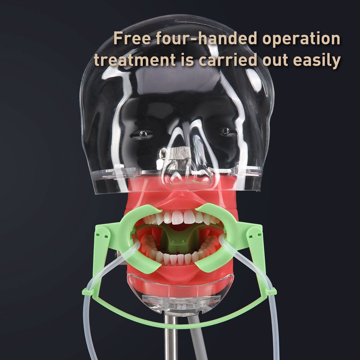 Dental Ortho NOLA Cheek Retractor Dry Field System with Saliva Aspirator - pairaydental.com