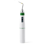 Dental Gutta Percha Endodontic Obturation System Heated Pen With 2 Heating Tips - pairaydental.com