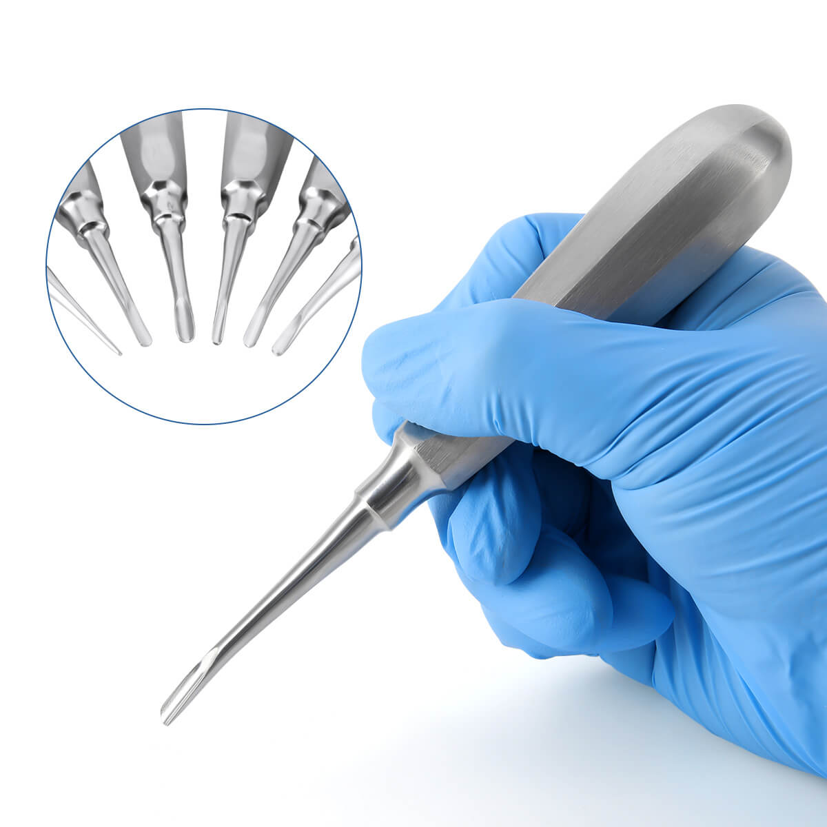 Dental Root Elevators Straight (#1-3) & Curved (#4-6) - pairaydental.com