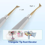 Dental Root Elevators Stainless Steel Extraction Tools Straight/Cryer/Apical - pairaydental.com