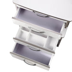 Dental Mobile Cabinet Cart G15 Rolling Storage Trolley Three Drawers with Socket - pairaydental.com 