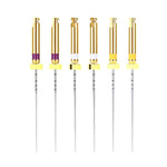 Endo Niti Rotary Files Engine Use 25mm Assorted 6Pcs/Pack - pairaydental.com