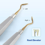 Dental Root Elevators Stainless Steel Extraction Tools Straight/Cryer/Apical - pairaydental.com
