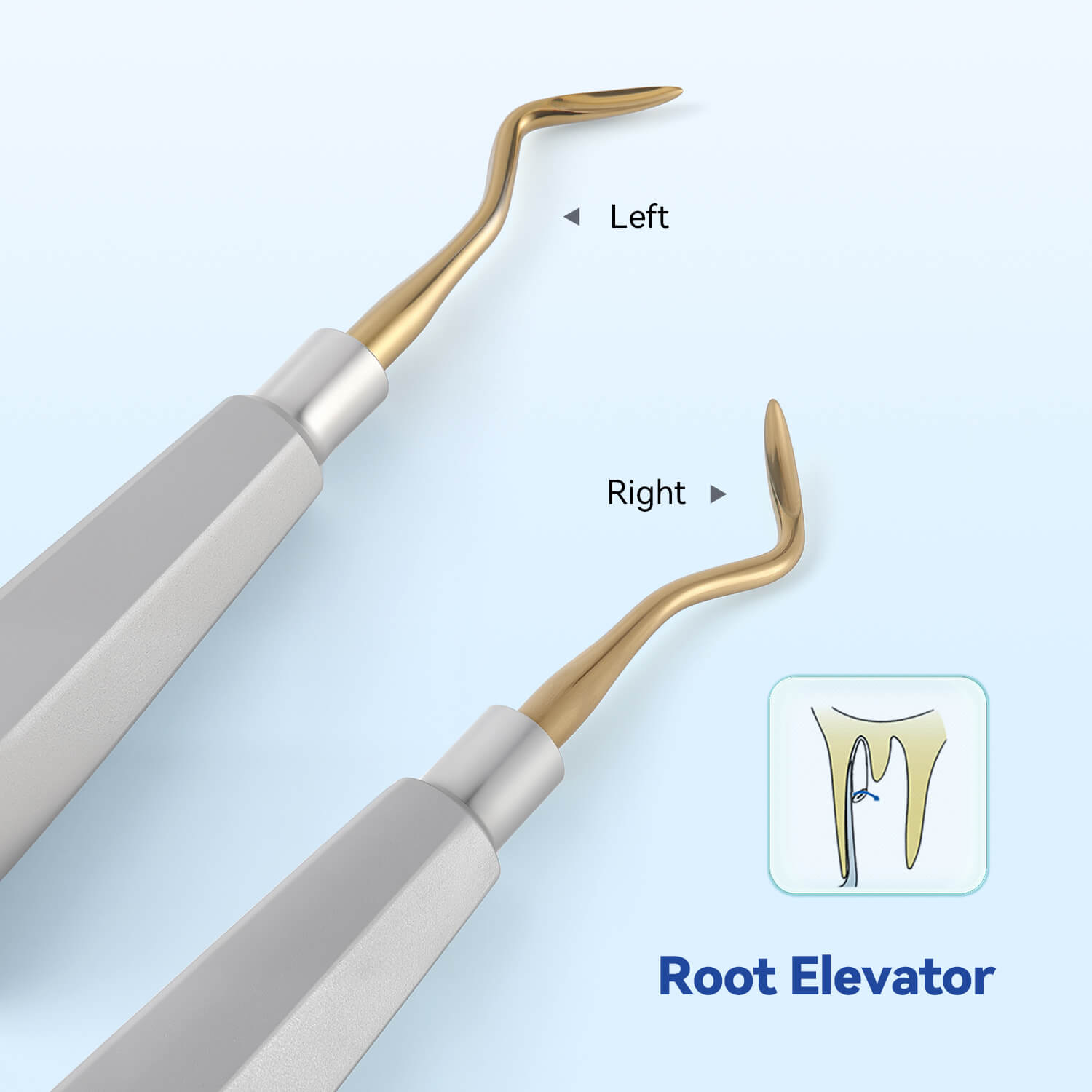 Dental Root Elevators Stainless Steel Extraction Tools Straight/Cryer/Apical - pairaydental.com