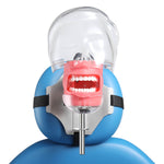 Dental Simulator Manikin Phantom Head with 28 Removable Teeth Fix on Dental Chair - pairaydental.com