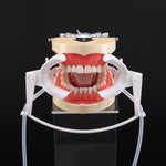 Dental Ortho NOLA Cheek Retractor Dry Field System with Saliva Aspirator - pairaydental.com