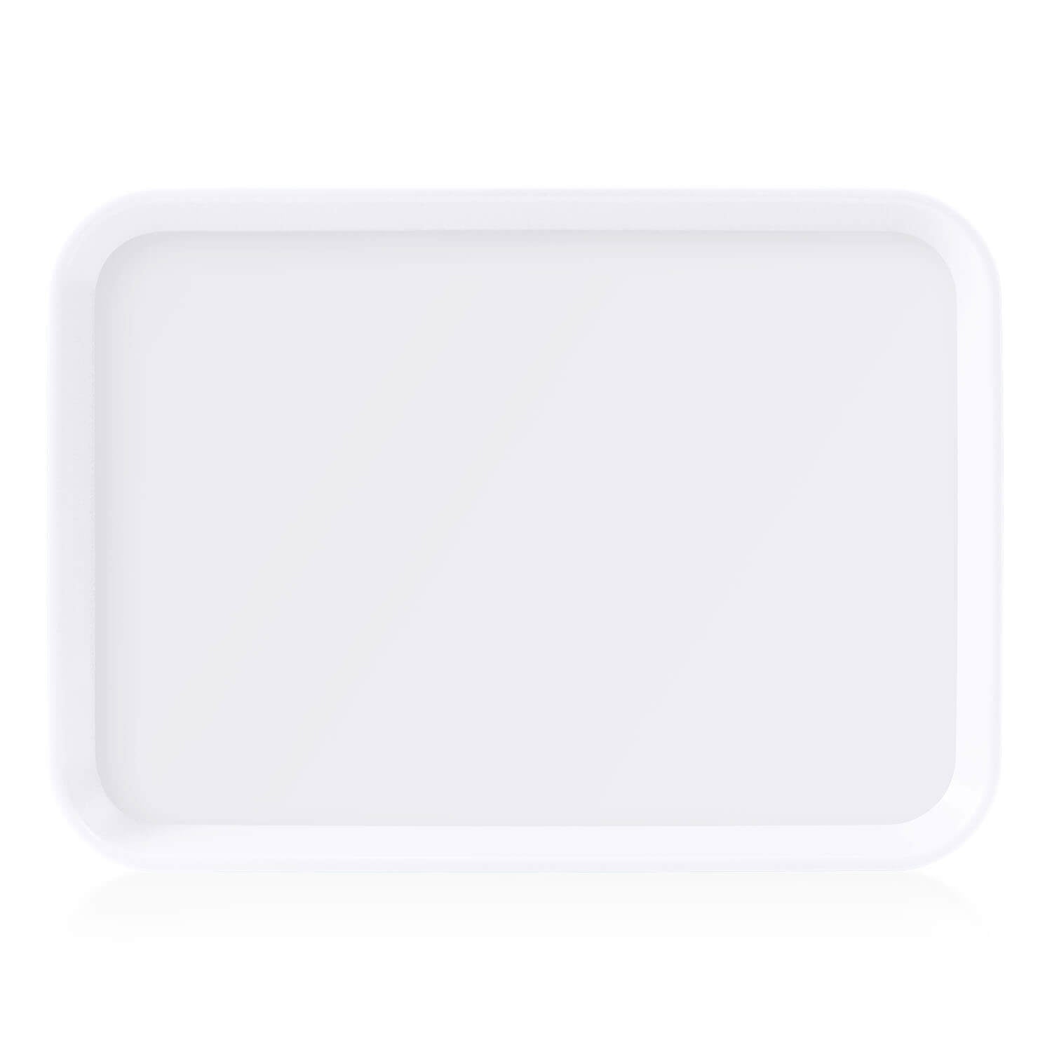 Dental Plastic Procedure Tray Autoclavable Flat Instrument Tray - pairaydental.com