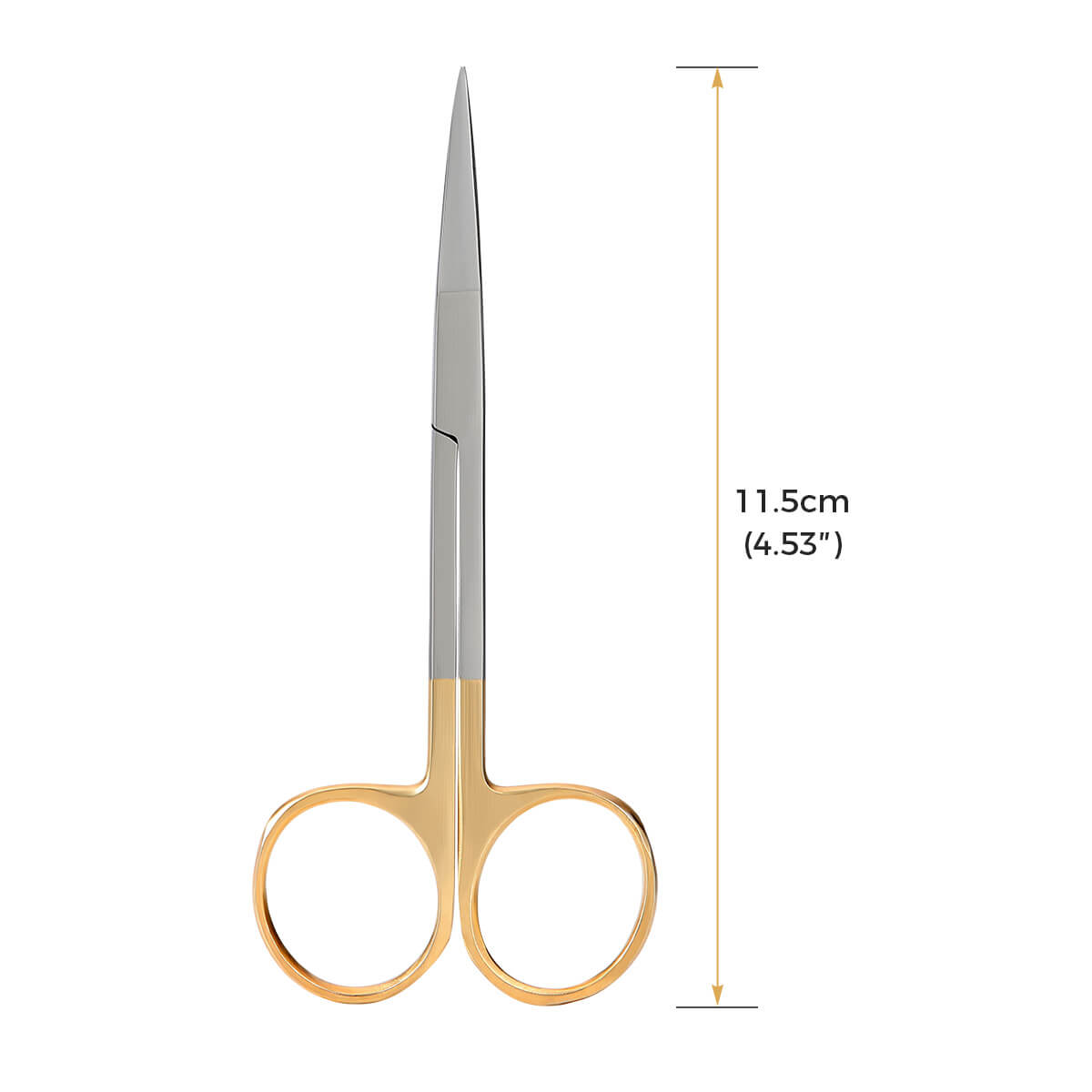 Dental Scissors Stainless Steel Straight/Curved Tip - pairaydental.com