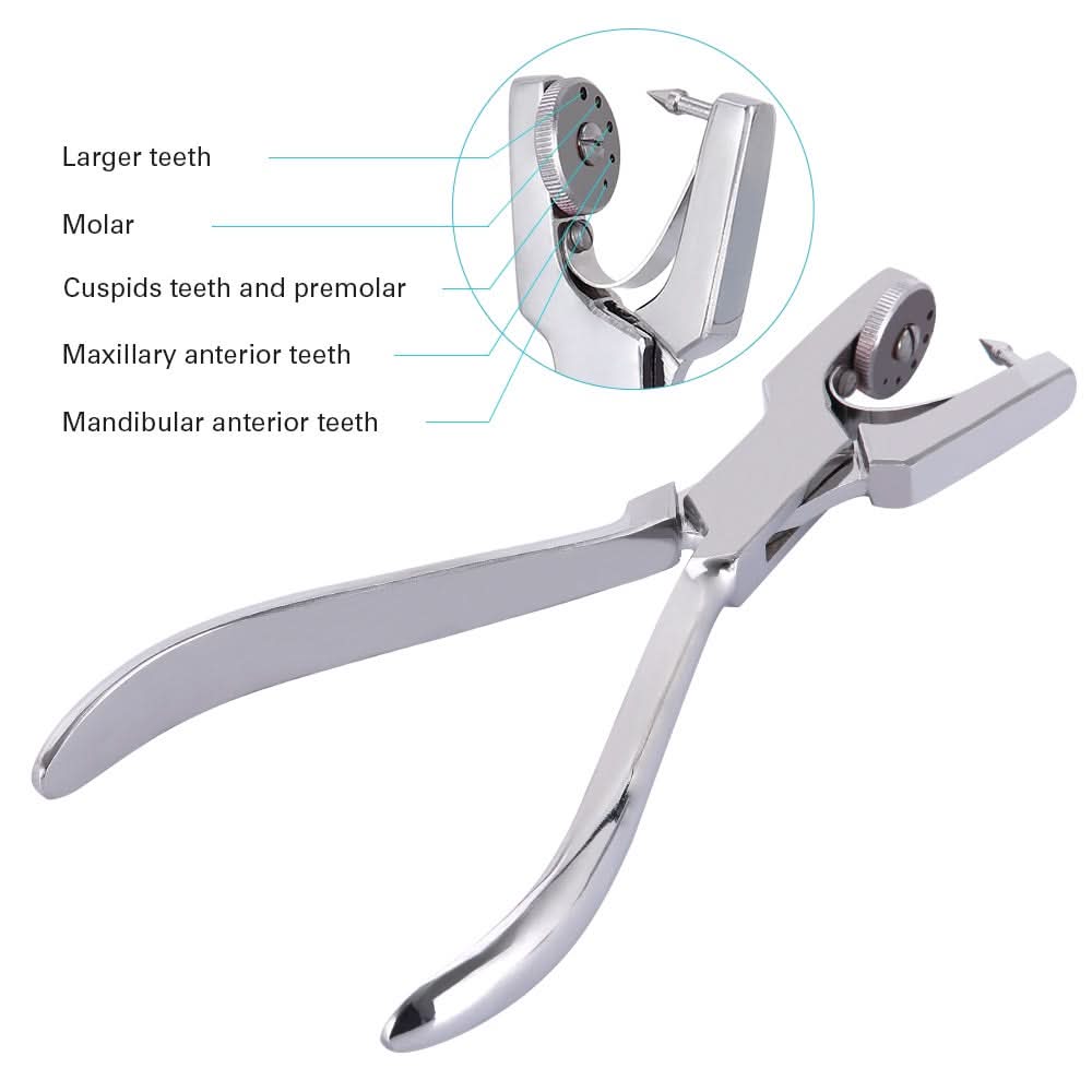 Dental Rubber Dam Perforator Puncher 12Pcs/Kit - pairaydental.com