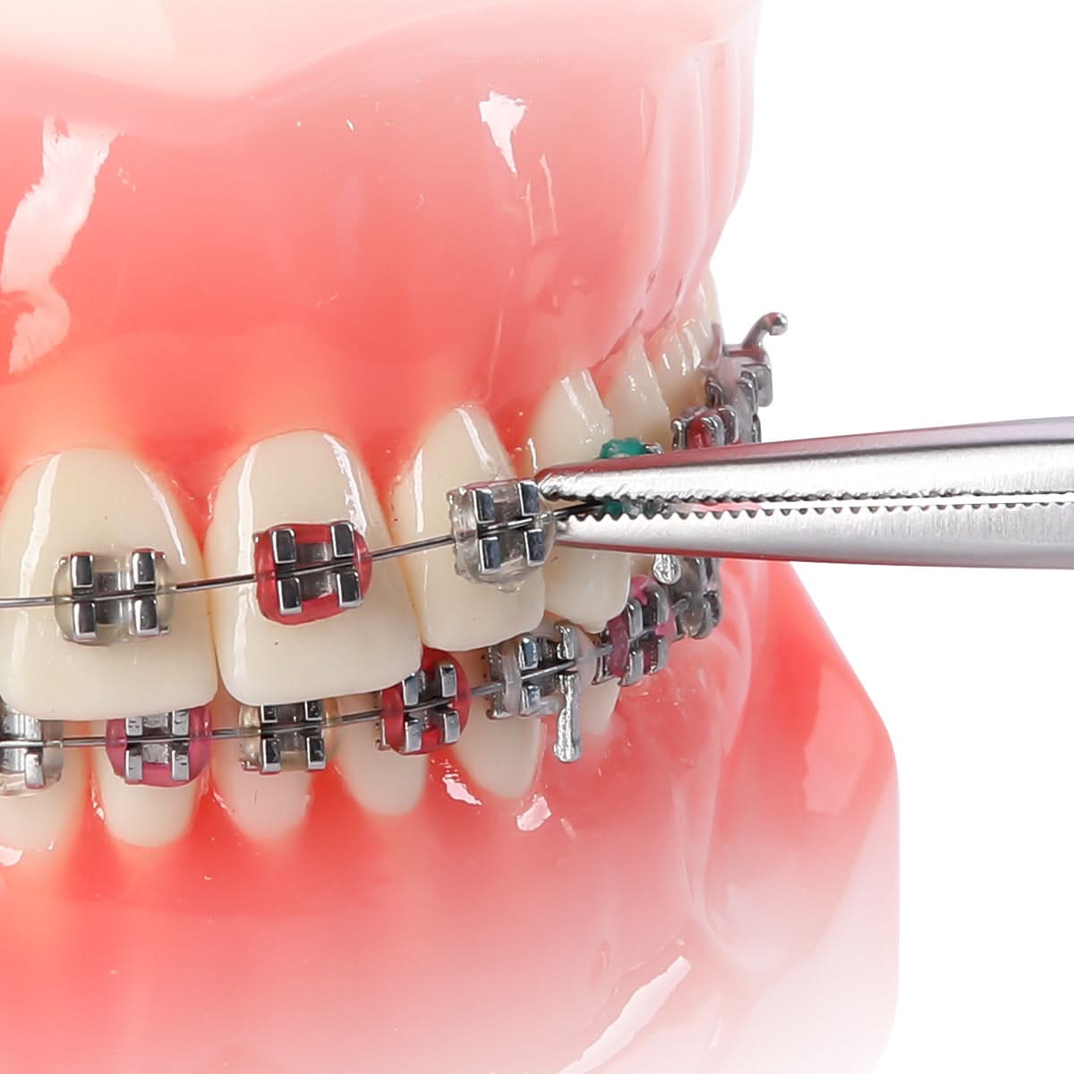 Orthodontic Ligature Tie Holder Stainless Steel - pairaydental.com