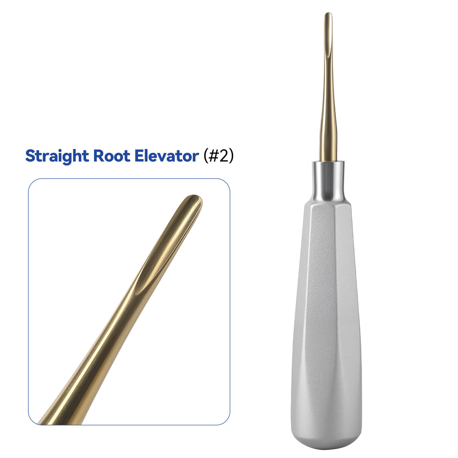 Dental Root Elevators Stainless Steel Extraction Tools Straight/Cryer/Apical - pairaydental.com