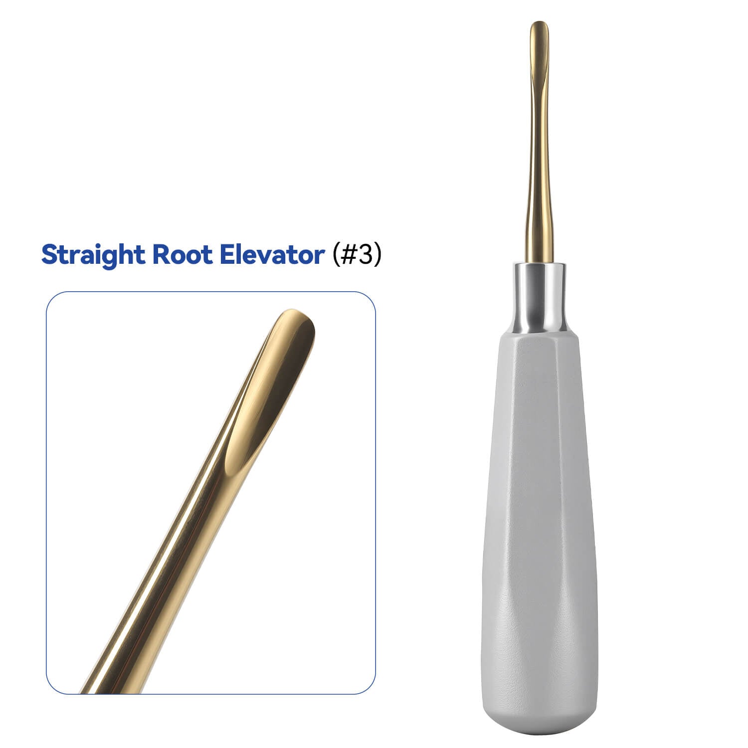 Dental Root Elevators Stainless Steel Extraction Tools Straight/Cryer/Apical - pairaydental.com
