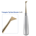 Dental Root Elevators Stainless Steel Extraction Tools Straight/Cryer/Apical - pairaydental.com