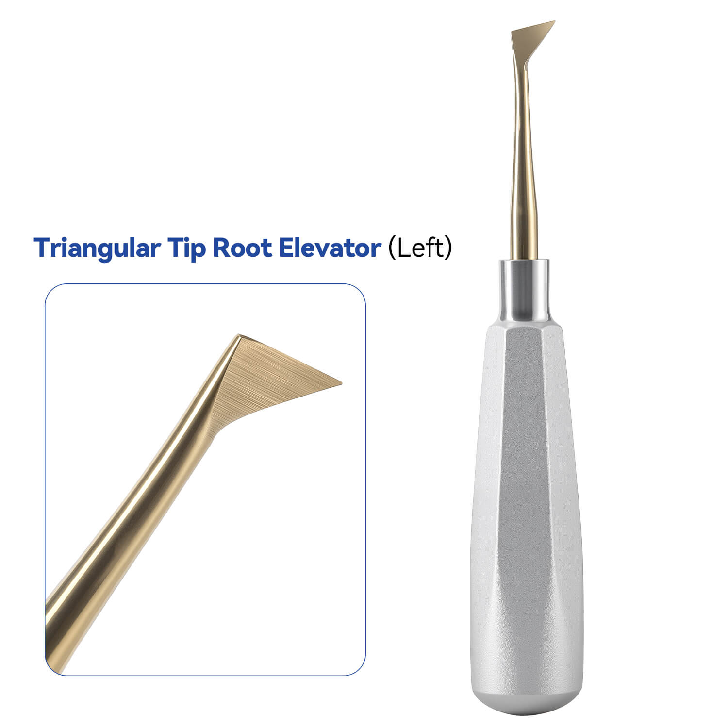 Dental Root Elevators Stainless Steel Extraction Tools Straight/Cryer/Apical - pairaydental.com