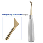 Dental Root Elevators Stainless Steel Extraction Tools Straight/Cryer/Apical - pairaydental.com