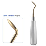 Dental Root Elevators Stainless Steel Extraction Tools Straight/Cryer/Apical - pairaydental.com