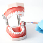 Dental Colorful Mouth Mirror Removable Mirror 8pcs/Kit - pairaydental.com