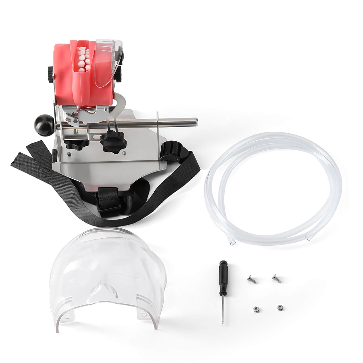 Dental Simulator Manikin Phantom Head with 28 Removable Teeth Fix on Dental Chair - pairaydental.com