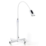 Dental Three-Color Teeth Cold Light Teeth Whitening Device - Floor Stand Model - pairaydental.com
