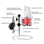 Dental Simulator Manikin Phantom Head with 28 Removable Teeth Fix on Dental Chair - pairaydental.com