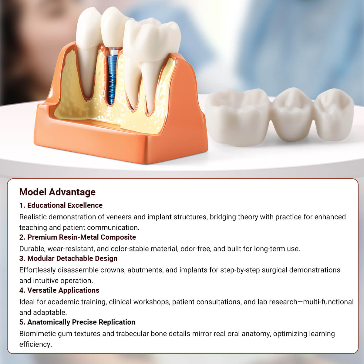 Dental 4 Times Teeth Model Implant Analysis Crown Bridge Demonstration Removable Model - pairaydental.com