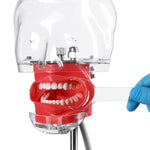 Dental T-Shape Mouth Opener Cheek Retractor Clear 4Pcs/Pack - pairaydental.com