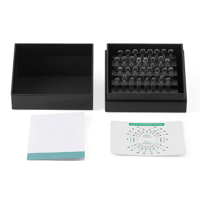 Dental Veneer Mould Kit Light Cure Dental Composite Resin Teeth 32pcs/Set - pairaydental.com