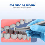 4:1 Fiber Optic Contra Angle Handpiece Mini Head Internal Channel Quattro Spray - pairaydental.com