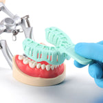 6pcs Dental Impression Trays Full Mouth For Teeth Mold Tray S/M/L Green Color - pairaydental.com