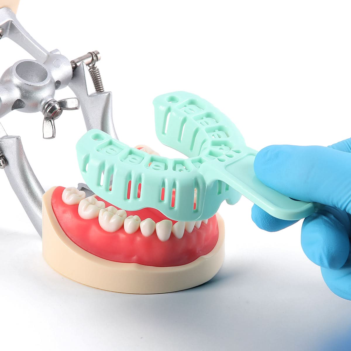 6pcs Dental Impression Trays Full Mouth For Teeth Mold Tray S/M/L Green Color - pairaydental.com