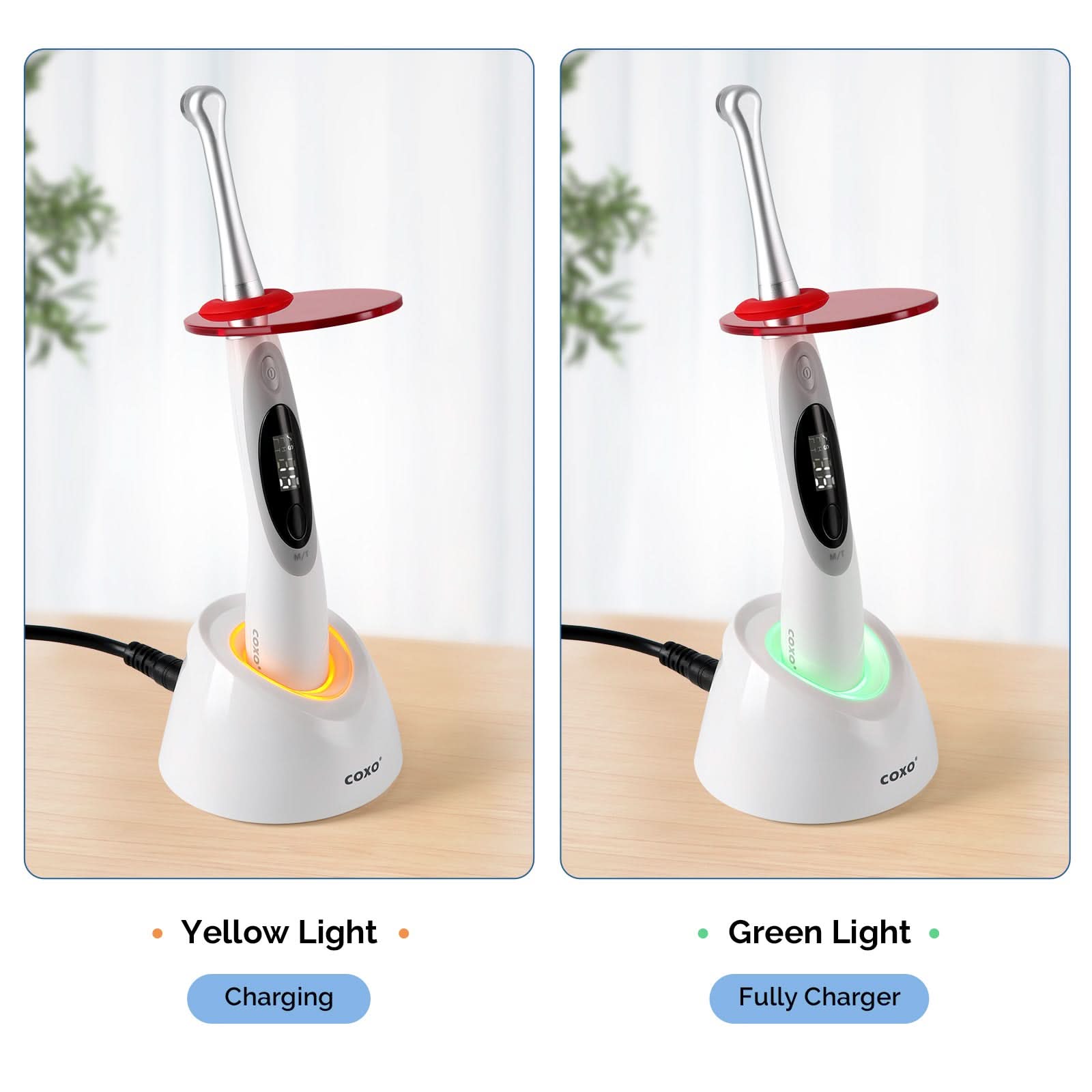 COXO Curing & Orthodontic LED Light 3 Working Mode Light Intensity Up to 3000mw/cm2 #DB686 SWIFT