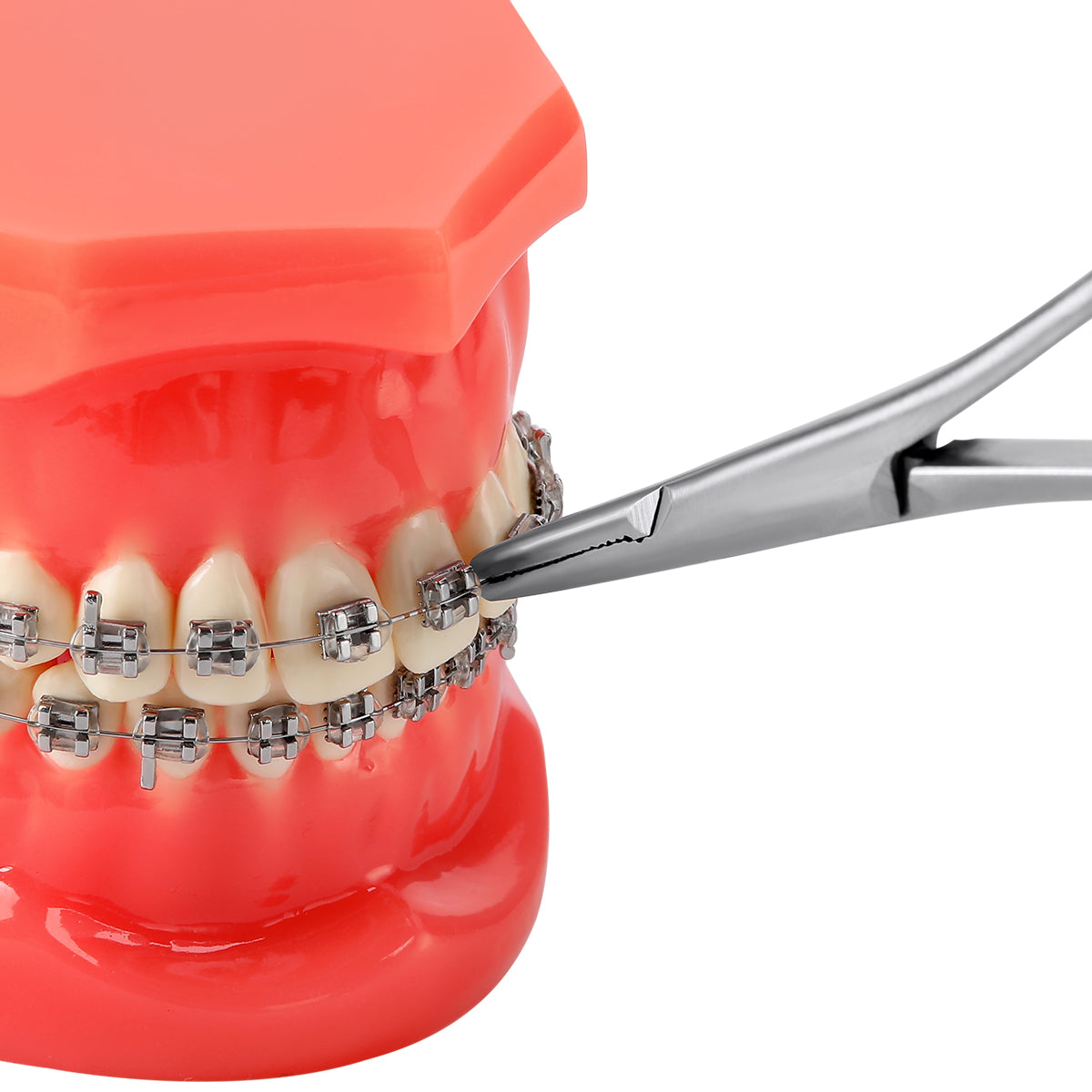 Dental Orthodontic Elastic Placement Ligature Tie Holder 14cm - pairaydental.com