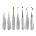Dental Root Elevators Stainless Steel Extraction Tools Straight/Cryer/Apical - pairaydental.com