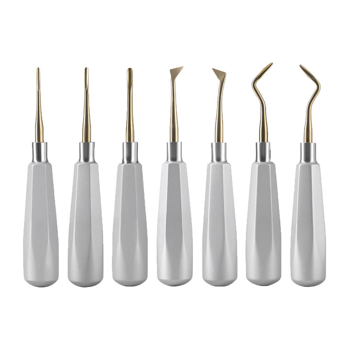 Dental Root Elevators Stainless Steel Extraction Tools Straight/Cryer/Apical - pairaydental.com