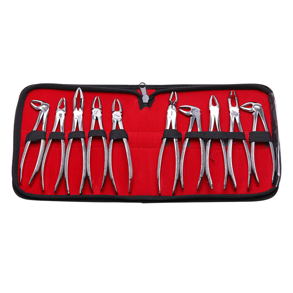 Dental Surgical Instruments Tooth Extraction Pliers Forceps Set for Adults 10Pcs - pairaydental.com