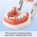 Dental Sectional Matrix Ring NITI Nickel Titanium deep Clamping Ring - pairaydental.com