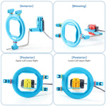 Dental X-Ray Sensor Positioning System 10pcs/Kit