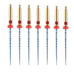 Endo NiTi Rotary Files Engine Use 25mm #25/04 6pcs/Pack - pairaydental.com