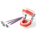 Dental Colorful Mouth Mirror Removable Mirror 8pcs/Kit - pairaydental.com