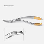 Dental Surgical Extraction Root Forceps for Upper/Lower/Universal Use - pairaydental.com