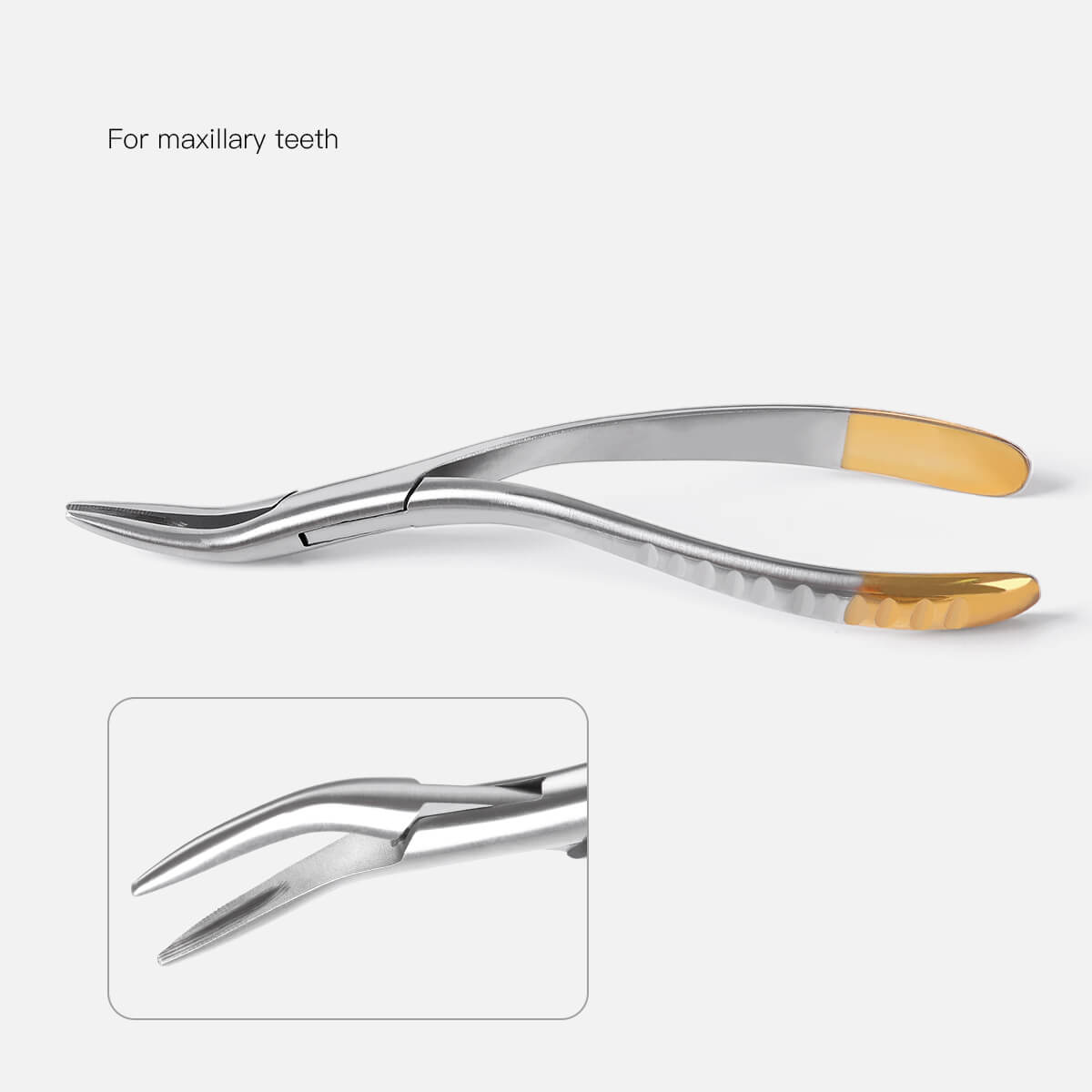 Dental Surgical Extraction Root Forceps for Upper/Lower/Universal Use - pairaydental.com