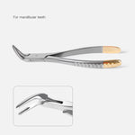 Dental Surgical Extraction Root Forceps for Upper/Lower/Universal Use - pairaydental.com